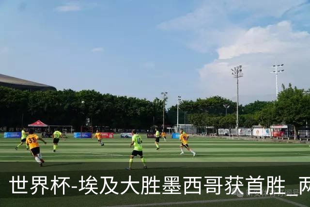 世界杯-埃及大胜墨西哥获首胜 两队均无缘16强